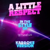 A Little Respect (In the Style of Wheatus) [Karaoke Version] - Single