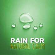 Rain for Natural Calm