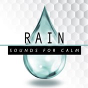 Rain Sounds for Calm