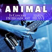 Animal In Concert Hard & Heavy FM Broadcast