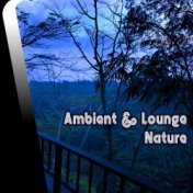 Ambient & Lounge Nature