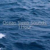 Ocean Sleep Sounds: 1 Hour