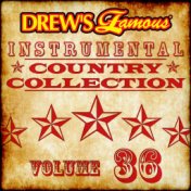 Drew's Famous Instrumental Country Collection (Vol. 36)