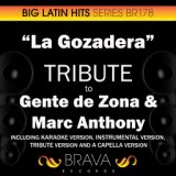 La Gozadera (In the Style of Gente de Zona & Marc Anthony) [Tribute Version]