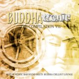 Buddhatronic - The Compilation, Vol. II