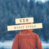 SLiVER Recordings: EDM Music Style, Vol.37