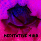 Meditative Mind