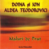 Doina Aldea Teodorovici