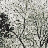 Harmonious Rain Sounds for Spa and Meditation