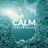 Calm Forest Music: Relaxation, Stress Relief, Nature Sounds, Chill Music, Rest, Piano Melodies