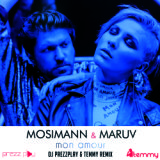 Mon Amour (DJ Prezzplay & Temmy Radio Edit)