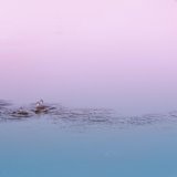 Floating On Water Sounds| Meditation, Yoga