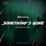 Something's Gone (Original Mix)