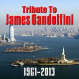 Tribute To James Gandolfini 1961-2013