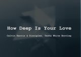 How Deep Is Your Love (Sasha White Bootleg Mix)