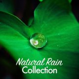 Natural Rain Collection