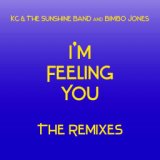 I'm Feeling You - The Remixes