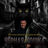 Чёрная кошка