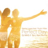 Perfect Day (Andrew Beat Remix)