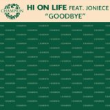 Goodbye (DJ Tekin Mix)