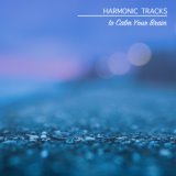 17 Harmonic Tracks to Calm your Brain