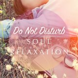 Do Not Disturb Soul Relaxation