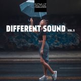 Different Sound, Vol. 5