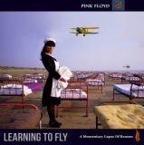 Learning to Fly