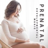 Prenatal Developmental Music