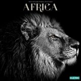 Africa: Tech House Tribal Rhythms