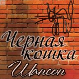 Черная киса