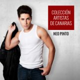Colección Artistas de Canarias Neo Pinto
