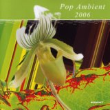 Pop Ambient 2005
