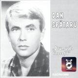 Dan Spătaru