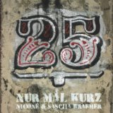 Nur Mal Kurz (Pheek Remix)