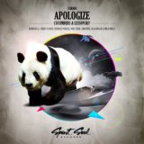 Apologize (Ordonez Remix)