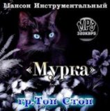 Группа " ТОП СТОП "