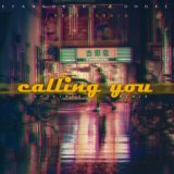 Calling You (VidVibes Remix)