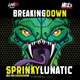 Breaking Down (Original Mix)