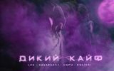 ?Дикий Кайф (KalashnikoFF Remix) radio edit