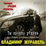 Владимир  Журавель. 