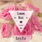 Climbing Roses