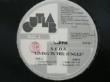 Living In The Jungle (Extended Mix)