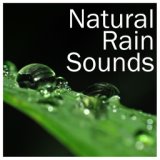 21 Amazing Weather Noises for Spa and Yoga, Zen Buddha Rainforest Sounds, Loopable Heavy Rain