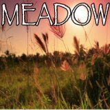 Meadow - Tribute to Stone Temple Pilots