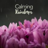 Calming Raindrops