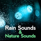 Rain Sounds & Nature Sounds