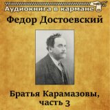 Федор Достоевский - Братья Карамазовы, Чт. 3