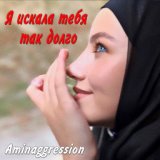 Aminaggression