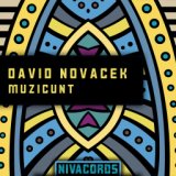 David Novacek